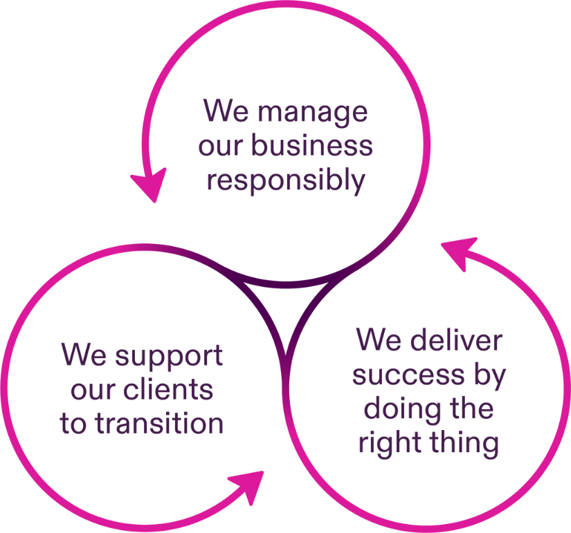 A diagram of a company
Description automatically generated