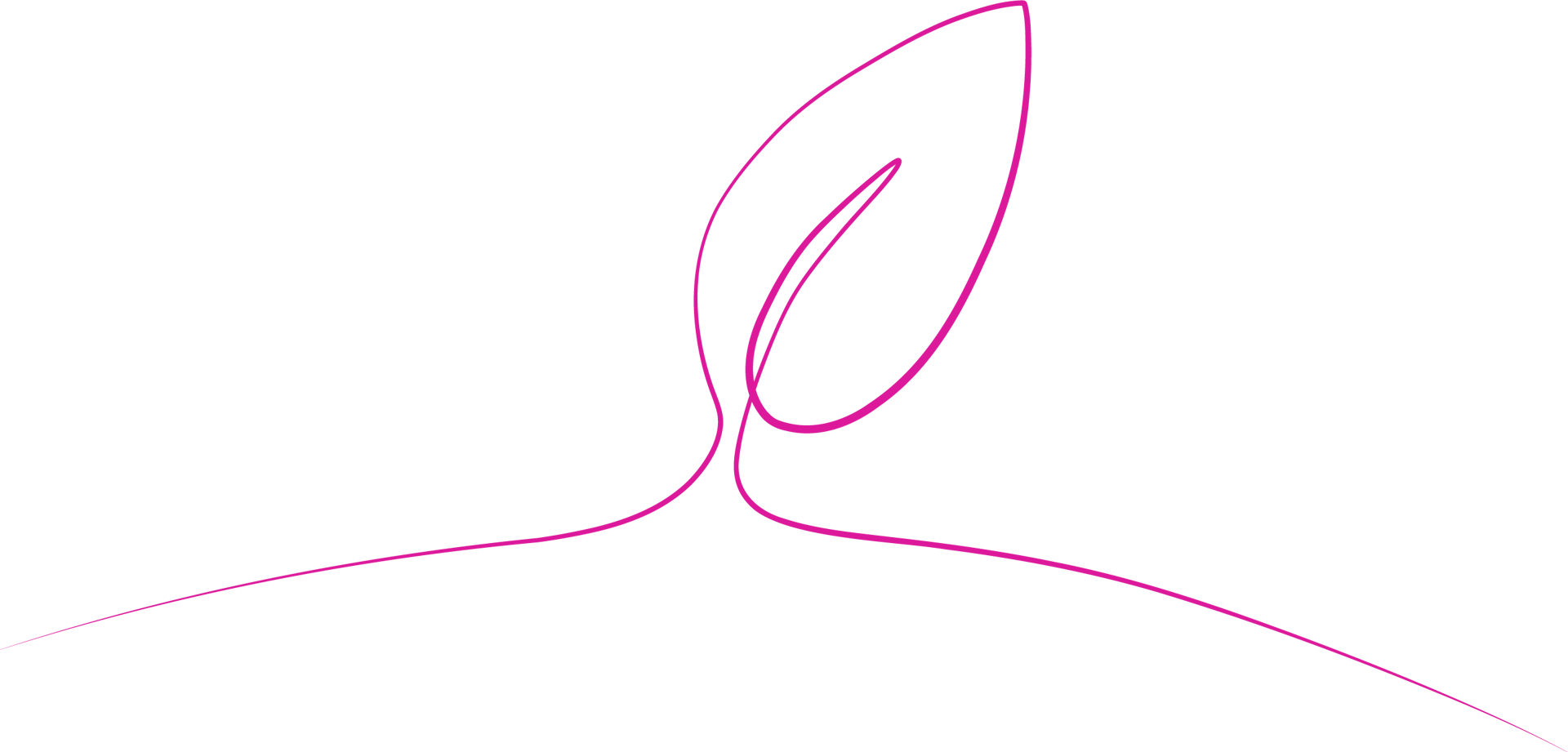 Illustration depicting a leaf